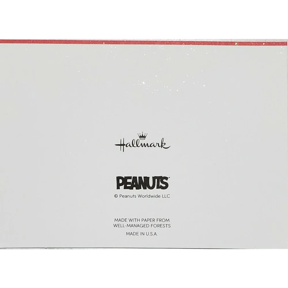 Pkg of 10 Hallmark Snoopy & Woodstock Music Glitter Blank Christmas Notecards